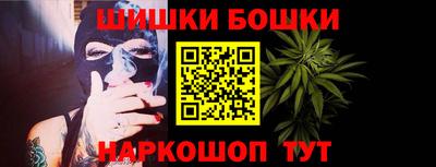 индика Можга